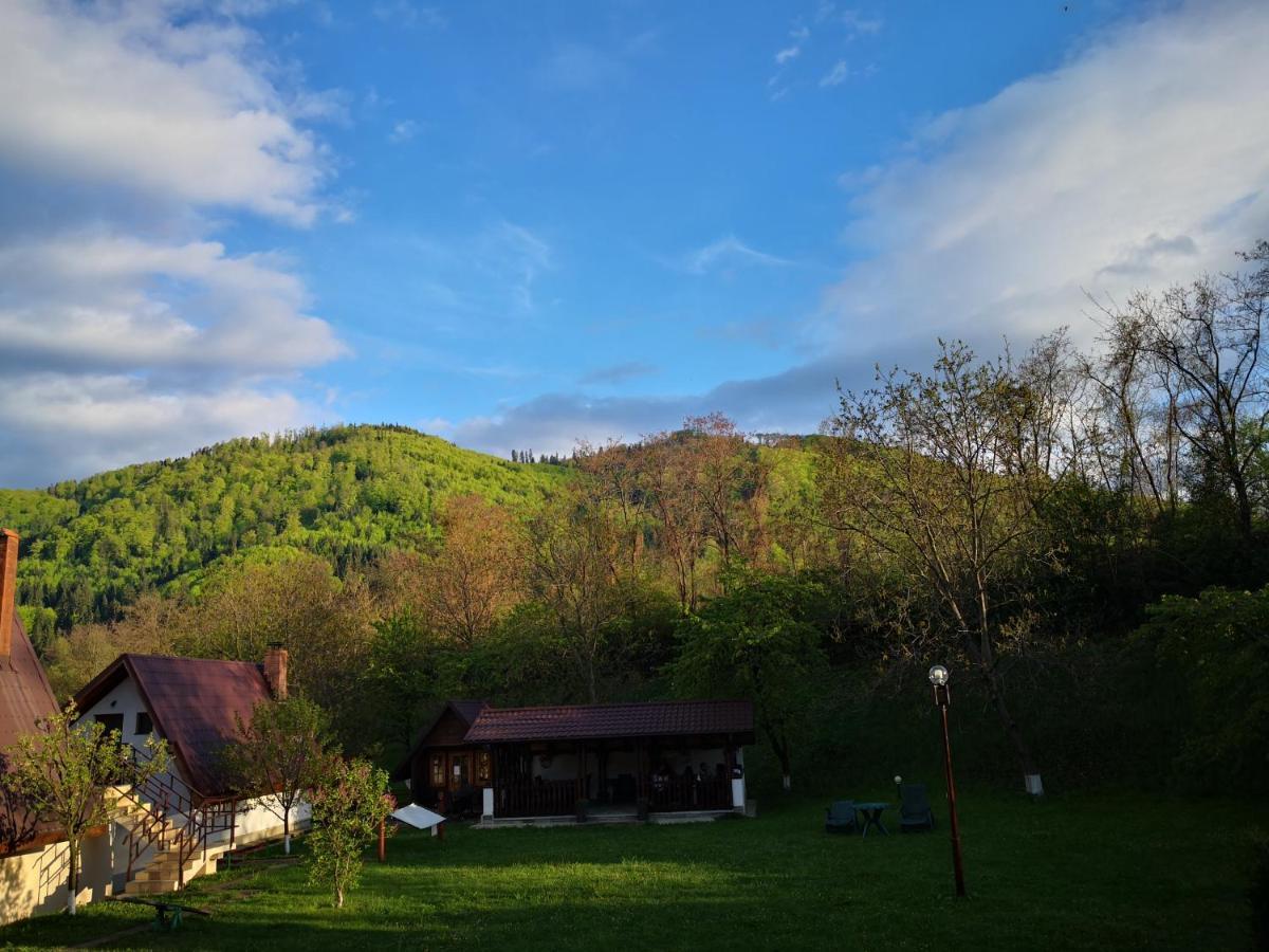 Bed and Breakfast Castelul De Smarald Pangaracior Zewnętrze zdjęcie