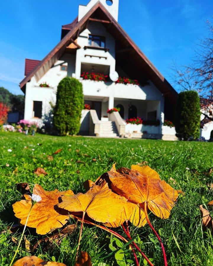 Bed and Breakfast Castelul De Smarald Pangaracior Zewnętrze zdjęcie